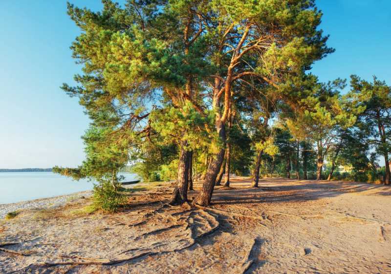 Кемпинг у моря в Тоскане на продаже